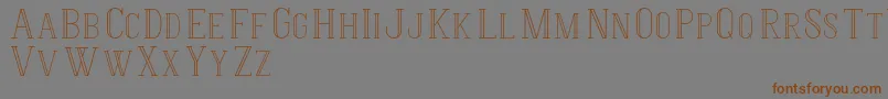 HermioneRegular Font – Brown Fonts on Gray Background