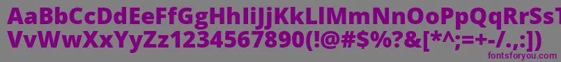 Opensans Extrabold Font – Purple Fonts on Gray Background