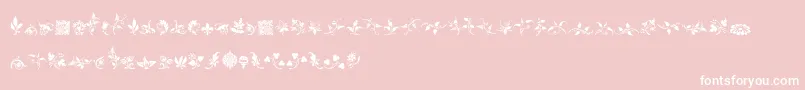 RoughFleuronsFree-Schriftart – Weiße Schriften auf rosa Hintergrund