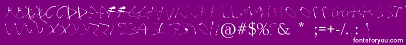 Alphasplat-Schriftart – Weiße Schriften auf violettem Hintergrund