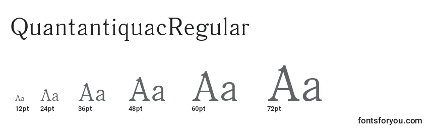 Größen der Schriftart QuantantiquacRegular