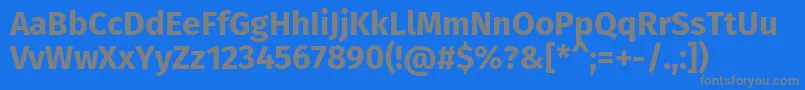 FirasansBold Font – Gray Fonts on Blue Background