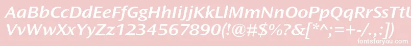 OceansansstdSemiboldextita Font – White Fonts on Pink Background