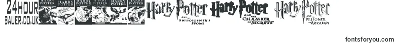 HarryPotterAndTheDingbatFont Font – Fonts for Numbers and Digits