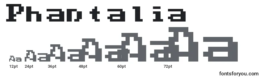 Размеры шрифта Phantalia (39229)
