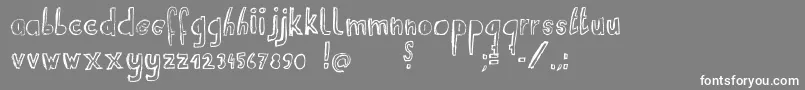 RvdSuitcaseboy Font – White Fonts on Gray Background