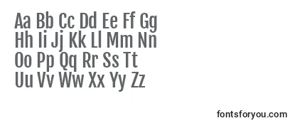 Review of the FjallaoneRegular Font