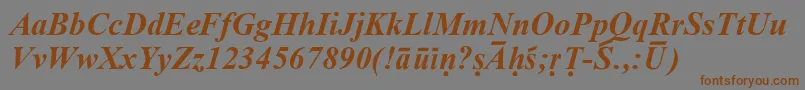 SanskritRomanBoldItalic Font – Brown Fonts on Gray Background