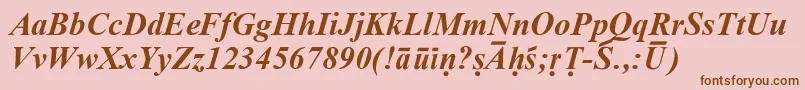 SanskritRomanBoldItalic Font – Brown Fonts on Pink Background