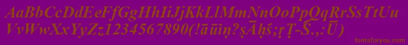 SanskritRomanBoldItalic-Schriftart – Braune Schriften auf violettem Hintergrund