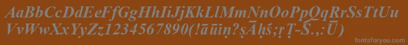 More about SanskritRomanBoldItalic Font SanskritRomanBoldItalic Font – Gray Fonts on Brown Background