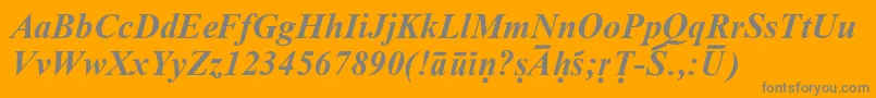 フォントSanskritRomanBoldItalic – オレンジの背景に灰色の文字