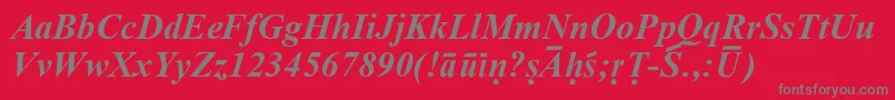 SanskritRomanBoldItalic-Schriftart – Graue Schriften auf rotem Hintergrund