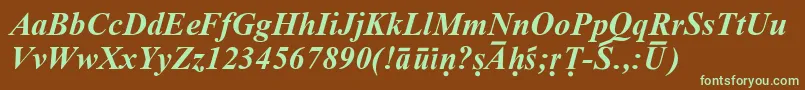 SanskritRomanBoldItalic Font – Green Fonts on Brown Background