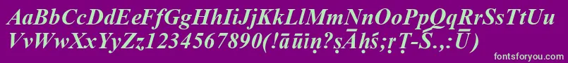 SanskritRomanBoldItalic Font – Green Fonts on Purple Background