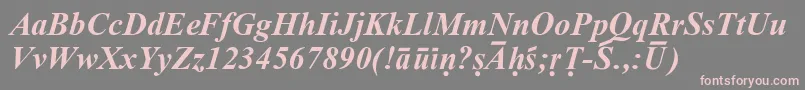 SanskritRomanBoldItalic-fontti – vaaleanpunaiset fontit harmaalla taustalla