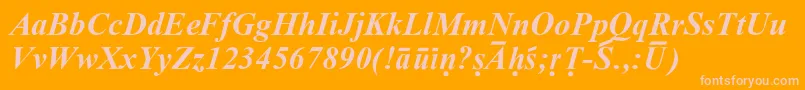 SanskritRomanBoldItalic Font – Pink Fonts on Orange Background