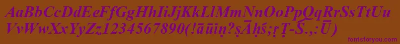 SanskritRomanBoldItalic-Schriftart – Violette Schriften auf braunem Hintergrund