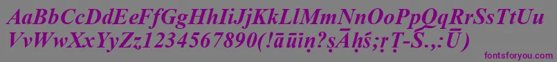 フォントSanskritRomanBoldItalic – 紫色のフォント、灰色の背景
