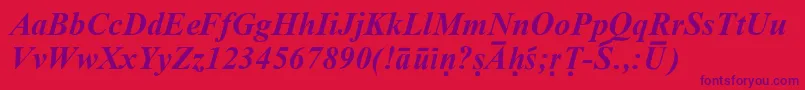 SanskritRomanBoldItalic Font – Purple Fonts on Red Background