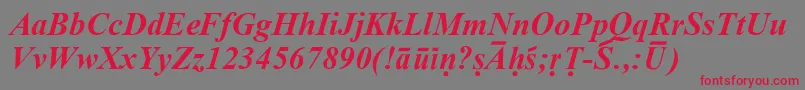 SanskritRomanBoldItalic Font – Red Fonts on Gray Background