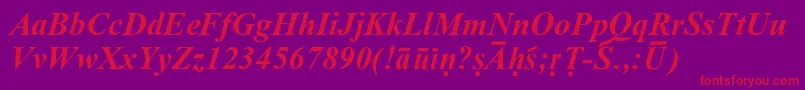 Czcionka SanskritRomanBoldItalic – czerwone czcionki na fioletowym tle