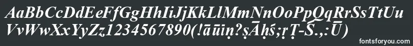 Шрифт SanskritRomanBoldItalic – белые шрифты на чёрном фоне