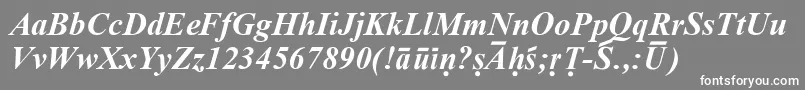 SanskritRomanBoldItalic-fontti – valkoiset fontit harmaalla taustalla