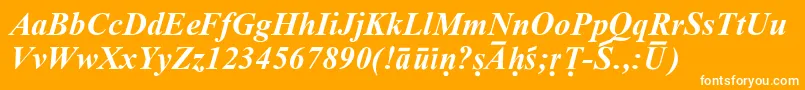 フォントSanskritRomanBoldItalic – オレンジの背景に白い文字