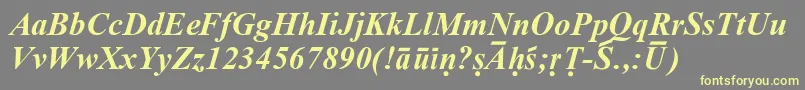 SanskritRomanBoldItalic Font – Yellow Fonts on Gray Background