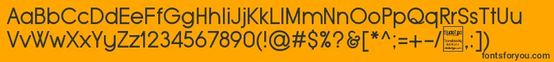 TypoGroteskDemo Font – Black Fonts on Orange Background