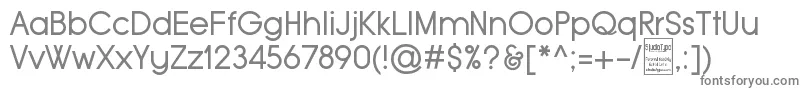 フォントTypoGroteskDemo – 灰色のフォント
