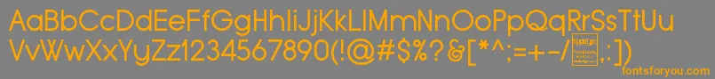 Fonte TypoGroteskDemo – fontes laranjas em um fundo cinza