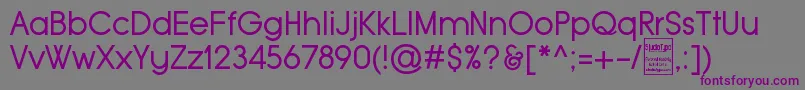 Шрифт TypoGroteskDemo – фиолетовые шрифты на сером фоне