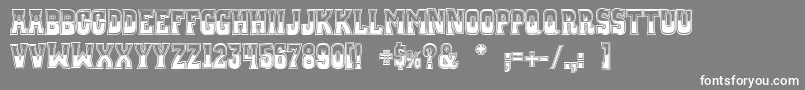 WhiskeyTownBuzzed Font – White Fonts on Gray Background