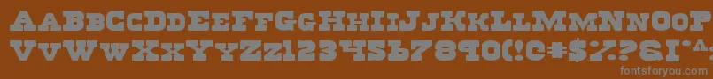 Regv2e-fontti – harmaat kirjasimet ruskealla taustalla
