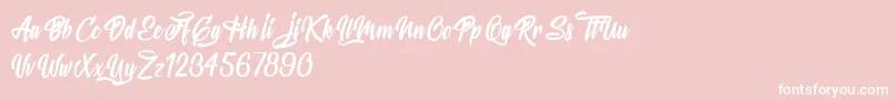 MysteriousLovers Font – White Fonts on Pink Background