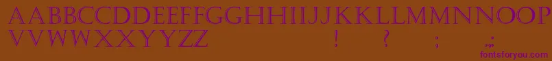 Kastellar Font – Purple Fonts on Brown Background