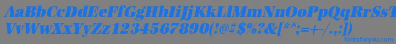 More about UrwantiquatultbolextnarOblique Font UrwantiquatultbolextnarOblique Font – Blue Fonts on Gray Background
