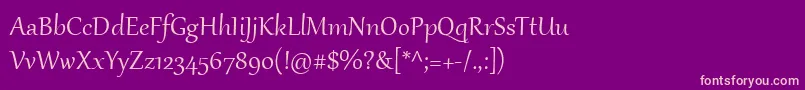 GabriolaOne Font – Pink Fonts on Purple Background
