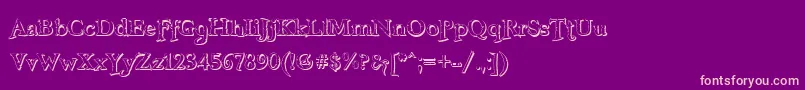 FreebooterShadow Font – Pink Fonts on Purple Background