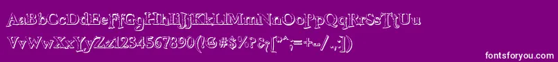 FreebooterShadow Font – White Fonts on Purple Background