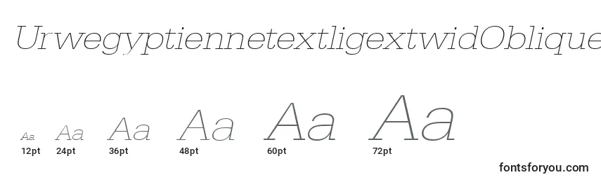 Размеры шрифта UrwegyptiennetextligextwidOblique