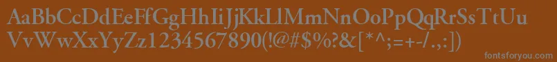 フォントGaramondsskBold – 茶色の背景に灰色の文字