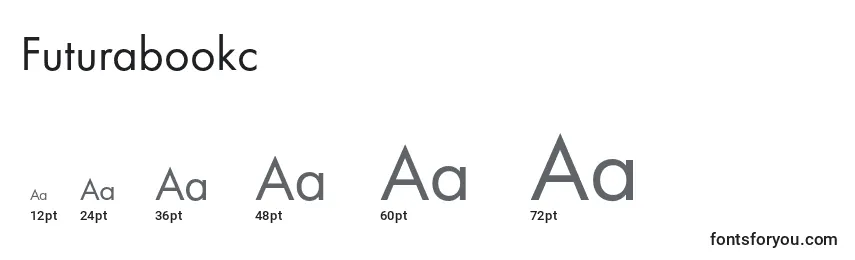 Futurabookc Font Sizes