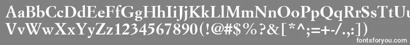 SimonciniGaramondLtBold Font – White Fonts on Gray Background