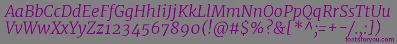 MerriweatherLightitalic-fontti – violetit fontit harmaalla taustalla