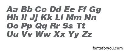 HelveticaLtBlackOblique Font
