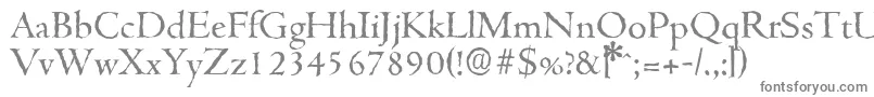 Шрифт CambridgeantiqueRegular – серые шрифты на белом фоне