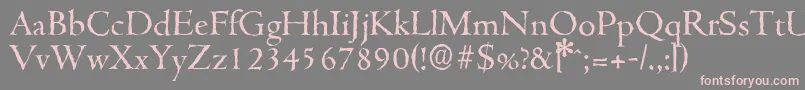 CambridgeantiqueRegular Font – Pink Fonts on Gray Background